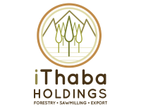 iThaba Holdings iThaba Holdings